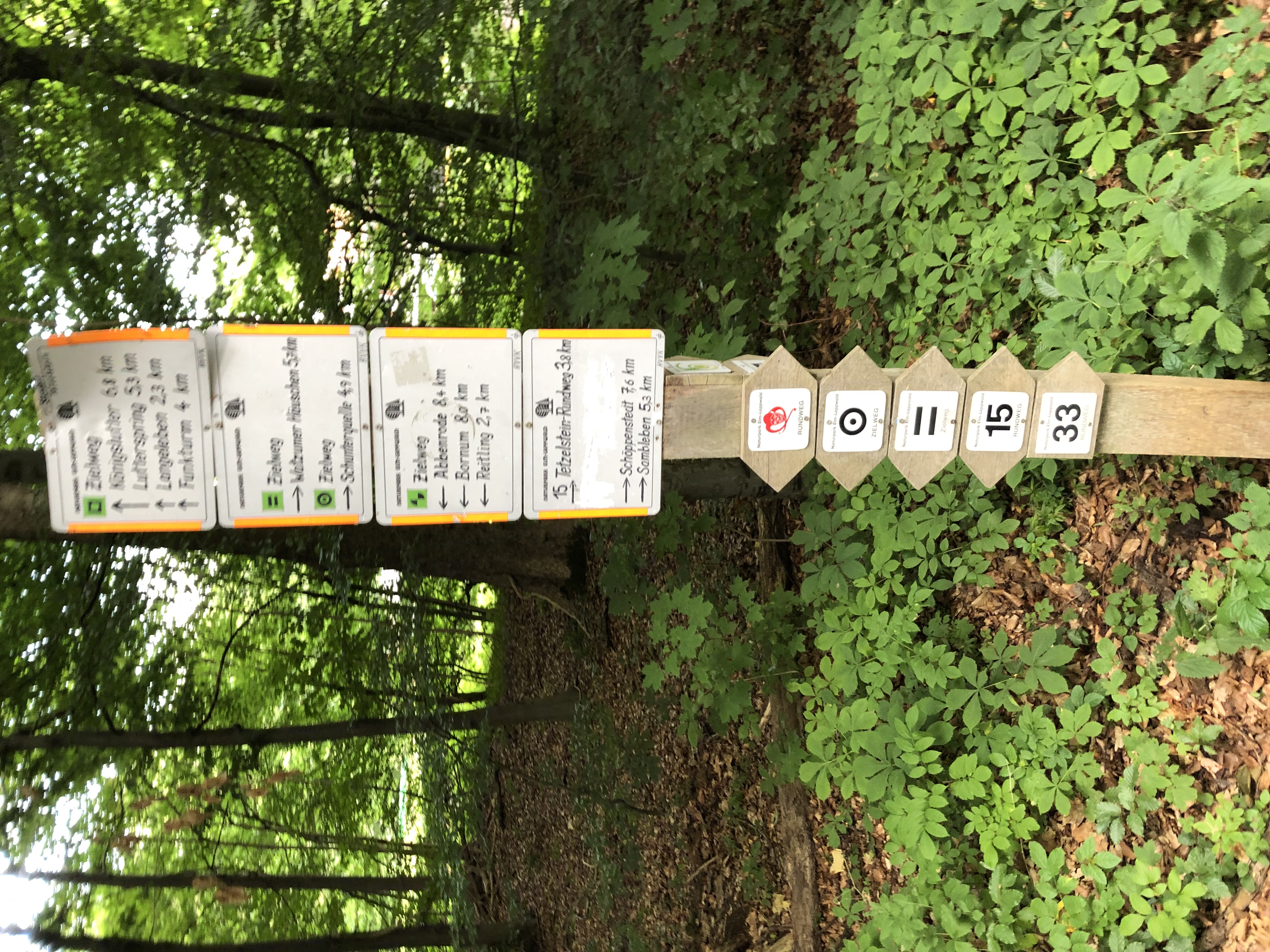 Tetzelstein Wegweiser im Naturpark Elm-Lappwald bei Braunschweig