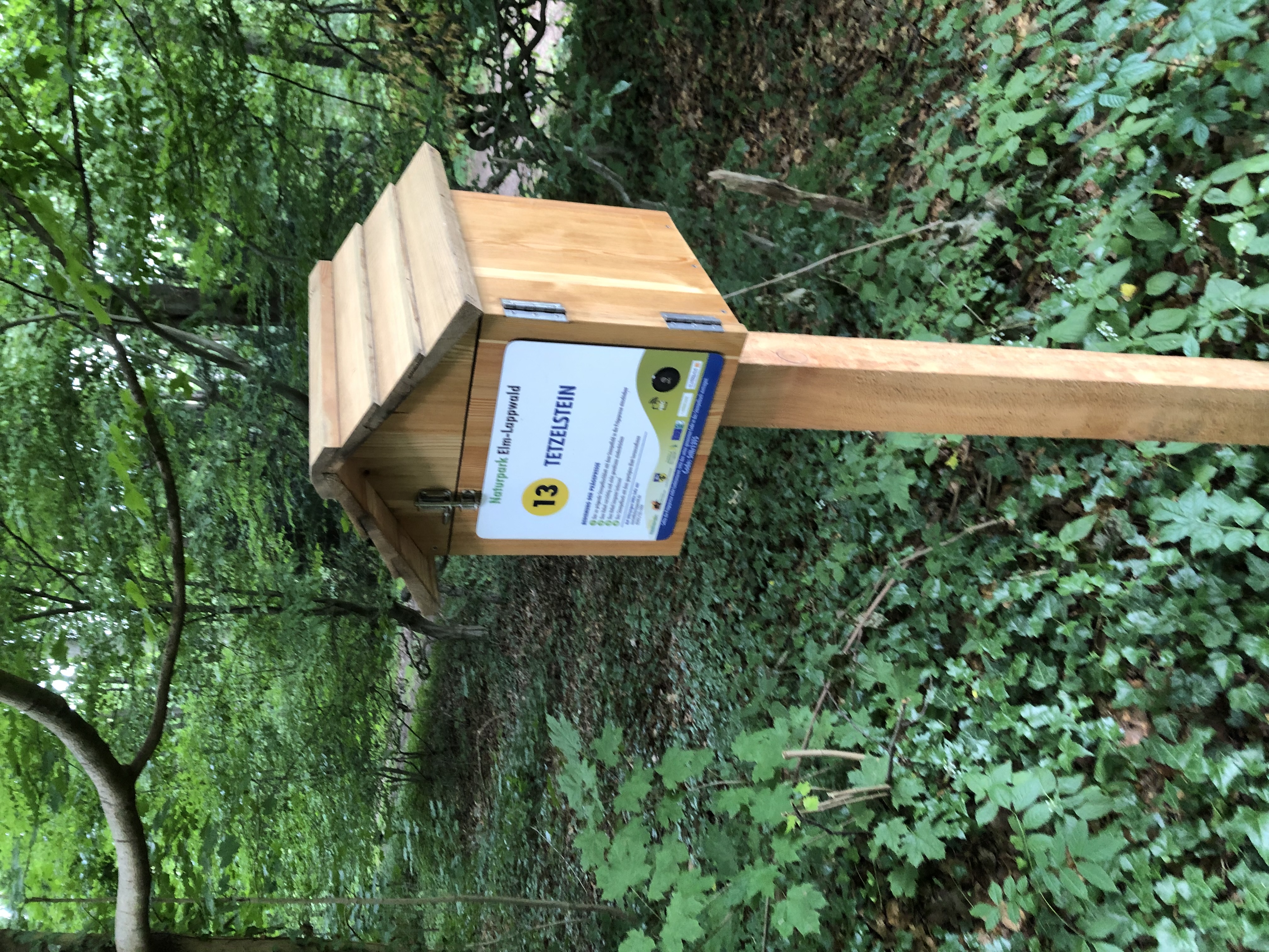 Gelber Wanderwegweiser im Elm-Lappwald, Niedersachsen